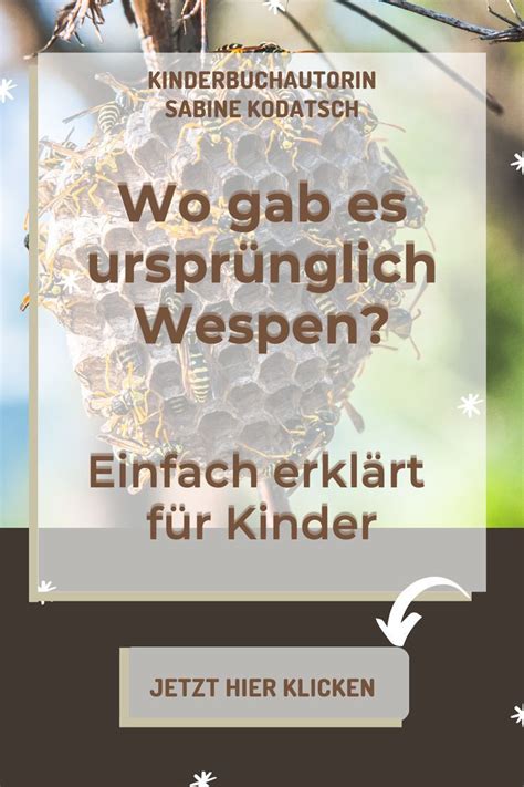 Wusstest Du dass man alle Wespenarten an ihrer auffällig schwarz