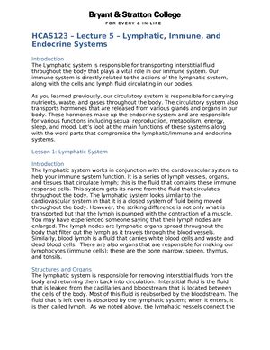 Hcas Lecture Muscular And Skeletal Systems Tagged Hcas