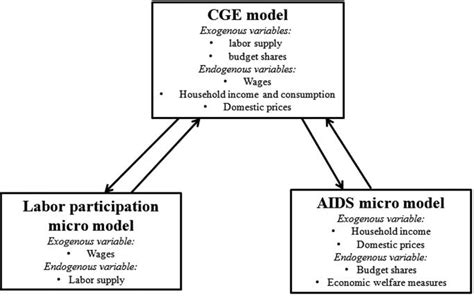 Model structure: interaction between micro-models and CGE model ...