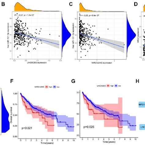 Expression And Survival Analysis Of Upstream Lncrnas Of Hsa Mir 101 3p