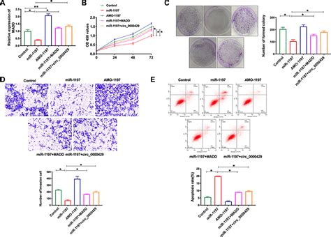 Circrna Regulates Development Of Nsclc By Acting As A Sponge O