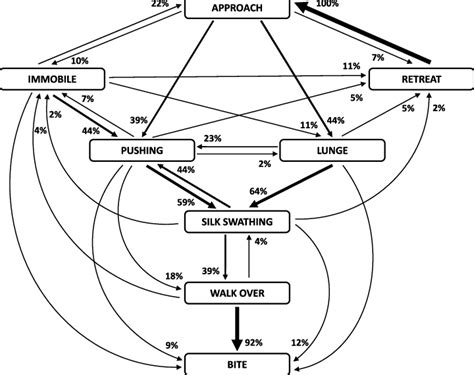 Flow Diagram Of The Prey Capture Behaviour Of Poecilochroa Senilis