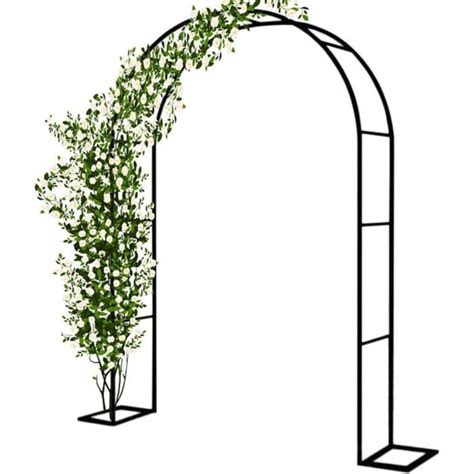 Arche de Jardin en Métal Robuste pour Plantes Grimpantes TRAHOO