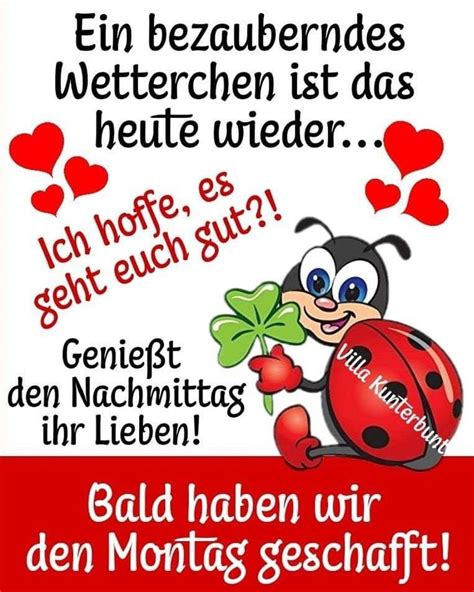 Happy Nachmittag Montag Gr E Hoffest Und