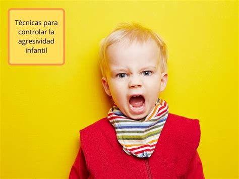 T Cnicas Para Controlar La Agresividad Infantil