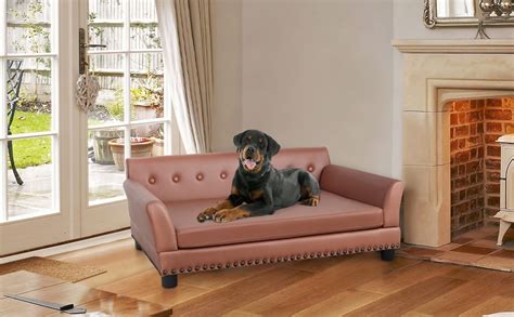 Bingopaw Canap Chien Grande Taille Fauteuil Pour Grand Chiens Xxl Lit