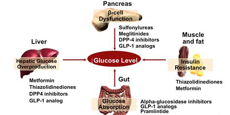 Drug Therapies For Improving Type 2 Diabetes Outcomes Consultant360