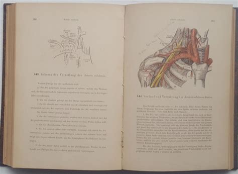 Illustrierter Atlas Der Deskriptiven Anatomie S Kaufen