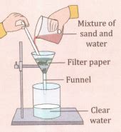 Draw A Welllabeled Diagram Showing The Process Of Filtration Name Any