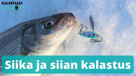 Podcastsiika Ja Siian Kalastus Kalastajan Kanava