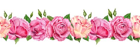 Rose Flower Border PNGs for Free Download