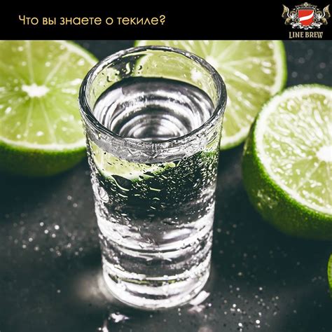 Line Brew Astana - История текилы начинается примерно с конца 19 века ...