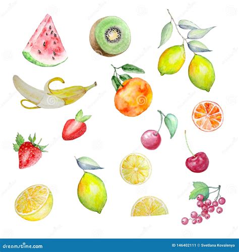 Watercolor Set Of Fruits And Berries Stock Illustration Illustration