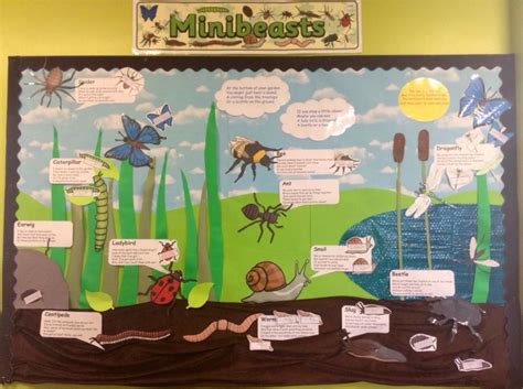 An Example Of What You Can Do With Our Fab Minibeast Resources