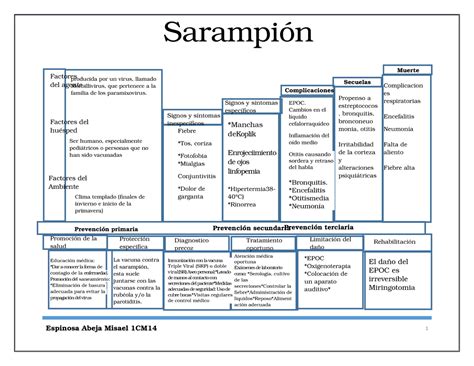 Historia Natural De La Enfermedad Sarampión Epidemiología Porn Sex