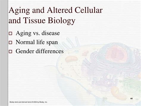 Ppt Altered Cellular And Tissue Biology Powerpoint Presentation Free