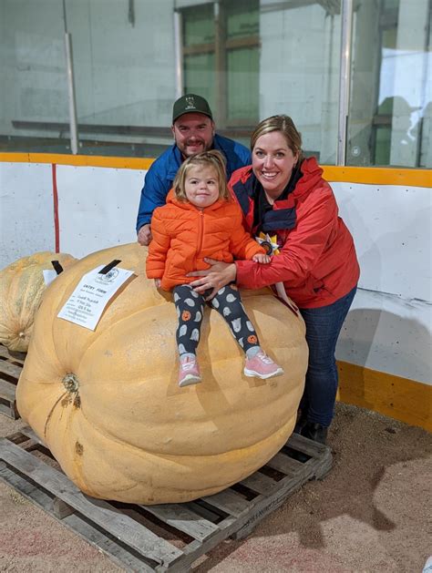 Growing a 1000-pound pumpkin on a 50-year-old manure pile - SteinbachOnline.com - Local news ...