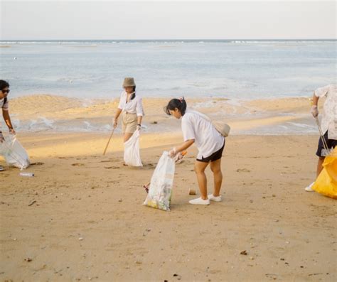 Les Nettoyages Des Plages Comment Faire La Diff Rence