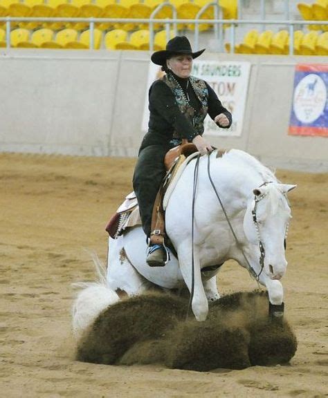 59 Reining Horses Ideas Reining Horses Horses Quarter Horse