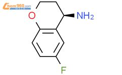 R 6 氟苯并二氢吡喃 4 胺 R 6 Fluorochroman 4 amine 911825 61 1 上海捷世凯生物科技有限公司