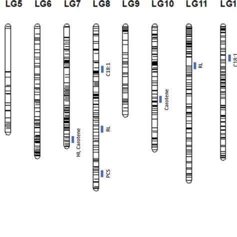 The Integrated Genetic Map Of The Backcross 2 Populations And Download Scientific Diagram