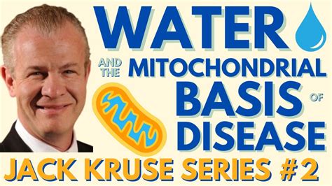 Dr Jack Kruse Water Non Native Emfs And Mitochondrial Basis Of Disease