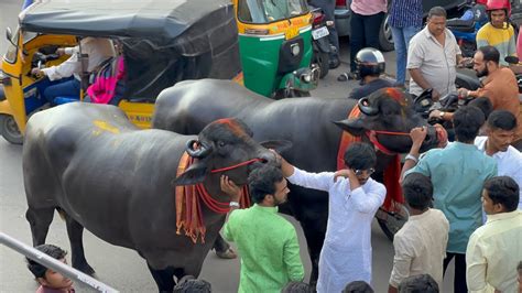 Chappal Bazar Laddu Yadav Sadar Festival Bull Narayanaguda Sadr