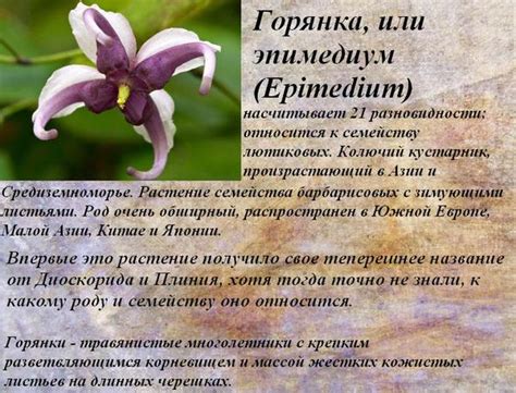 Ответы Mail: Какую траву называют "травой похотливого козла"?