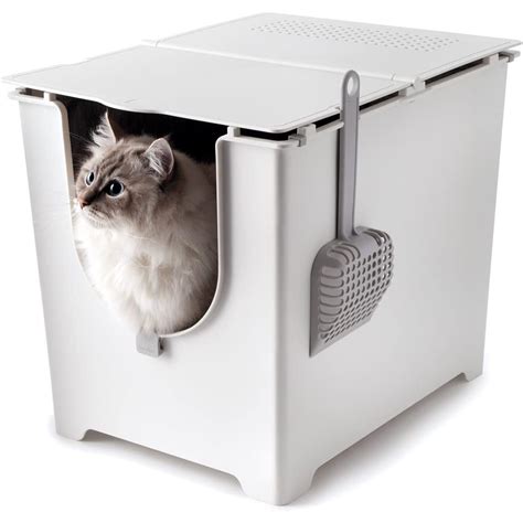 15 Extra Large Litter Box Options With High Sides - Whiskers Magoo