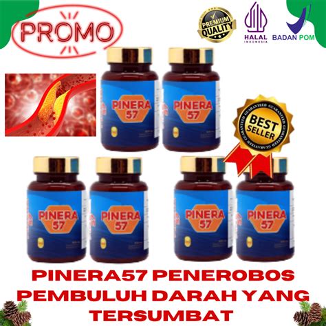 Pinera Pinus Merah Korea Red Pine Obat Stroke Kolesterol Diabet