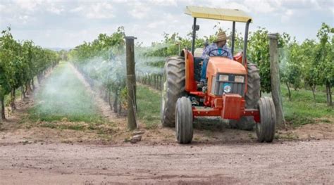 Reducir el uso de pesticidas en la viticultura es cada vez más