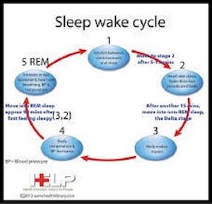 SLEEP WAKE CYCLE 2 | Menopause Goddess Blog dot com