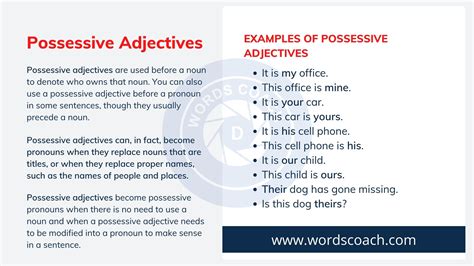 10 Examples Of Possessive Adjectives - Printable Online