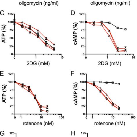 cAMP levels in INS-1E cells are dependent on intracellular ATP levels ... 
