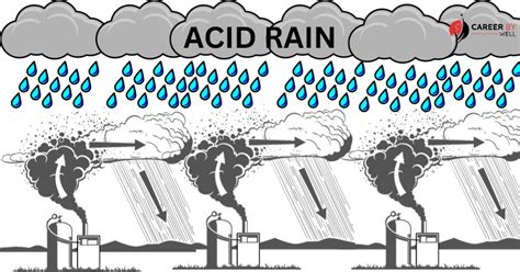 Acid Rain Meaning Causes Effects And Control Careerbywell