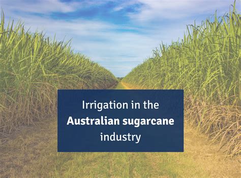 Irrigation In The Australian Sugarcane Industry Swan Systems