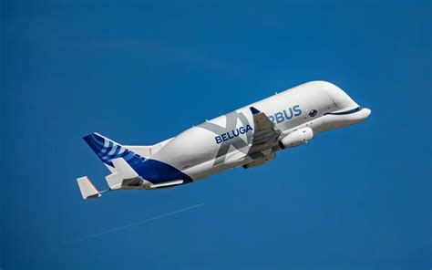 Airbus Beluga took to the skies for once-in-a-lifetime stunt