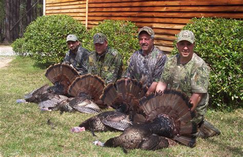 Turkey Hunting at Alabama wild turkey Hunting Lodge