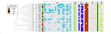 Phylogeny Of Mcr Positive E Coli Sequence Types Strain Number