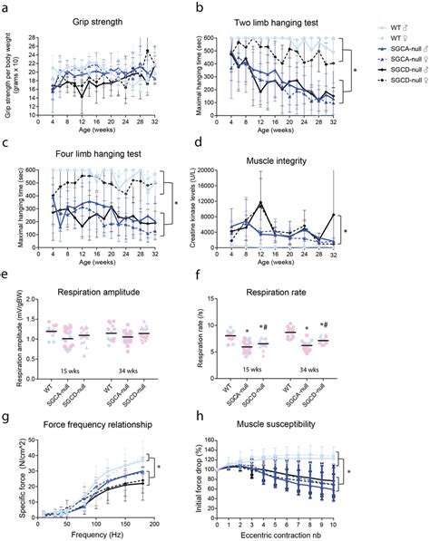 Impaired Muscle Function And Integrity In SGCA And SGCD Null Mice A