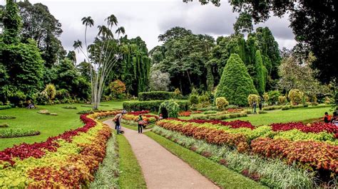 Sri Lanka Heritage Sites Day Private Guided Tour Getyourguide