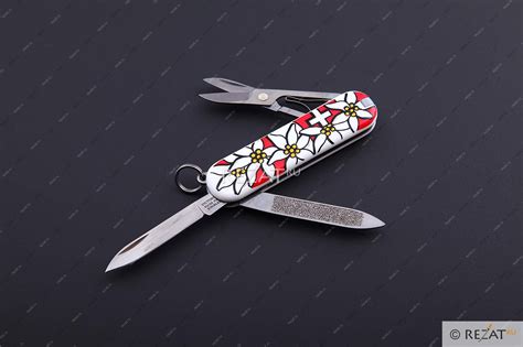 Швейцарский складной нож-брелок Victorinox Classic Edelweiss 7 функций ...