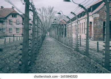 Auschwitz Nazi Concentration Camp Museum Stock Photo 1655840320 ...