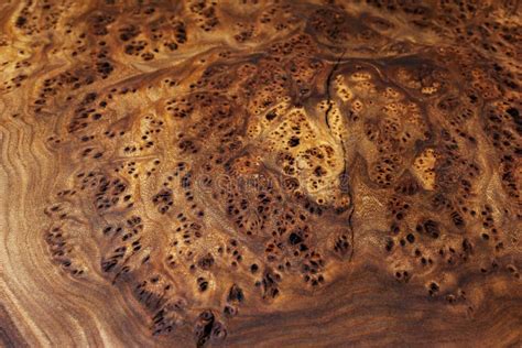 Extreme Close Up Wood Texture Wooden Countertop Slab Saw Cut Wood On