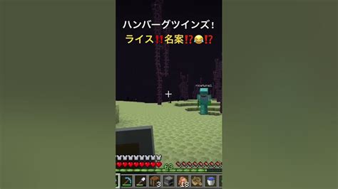 これぞ究極の名案‼️🤣小5 Minecraft マイクラ マインクラフト Minecraftshorts Shots