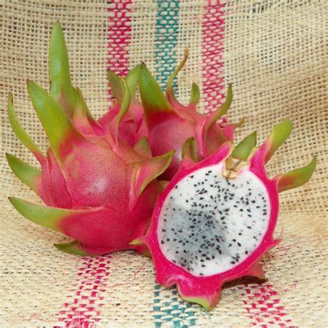 Vietnamese White A White Flesh Dragon Fruit Variety From Spicy Exotics