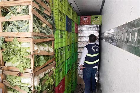 Sefa Apreende Mais De Mil Garrafas De Cerveja Em Marab Ag Ncia Par