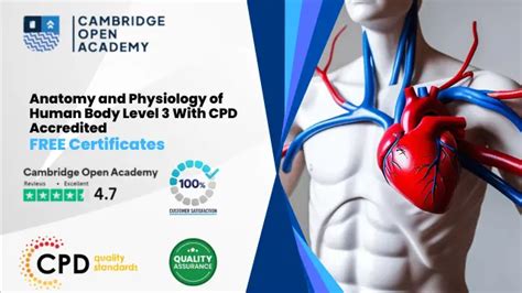 Regionally Accredited Online Anatomy And Physiology