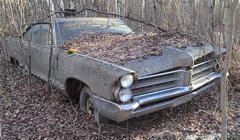 Hoard Of Abandoned Classics Found In The Woods Includes Chevy Trucks