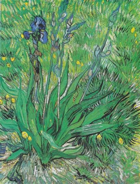 "Iris" Vincent van Gogh - Artwork on USEUM